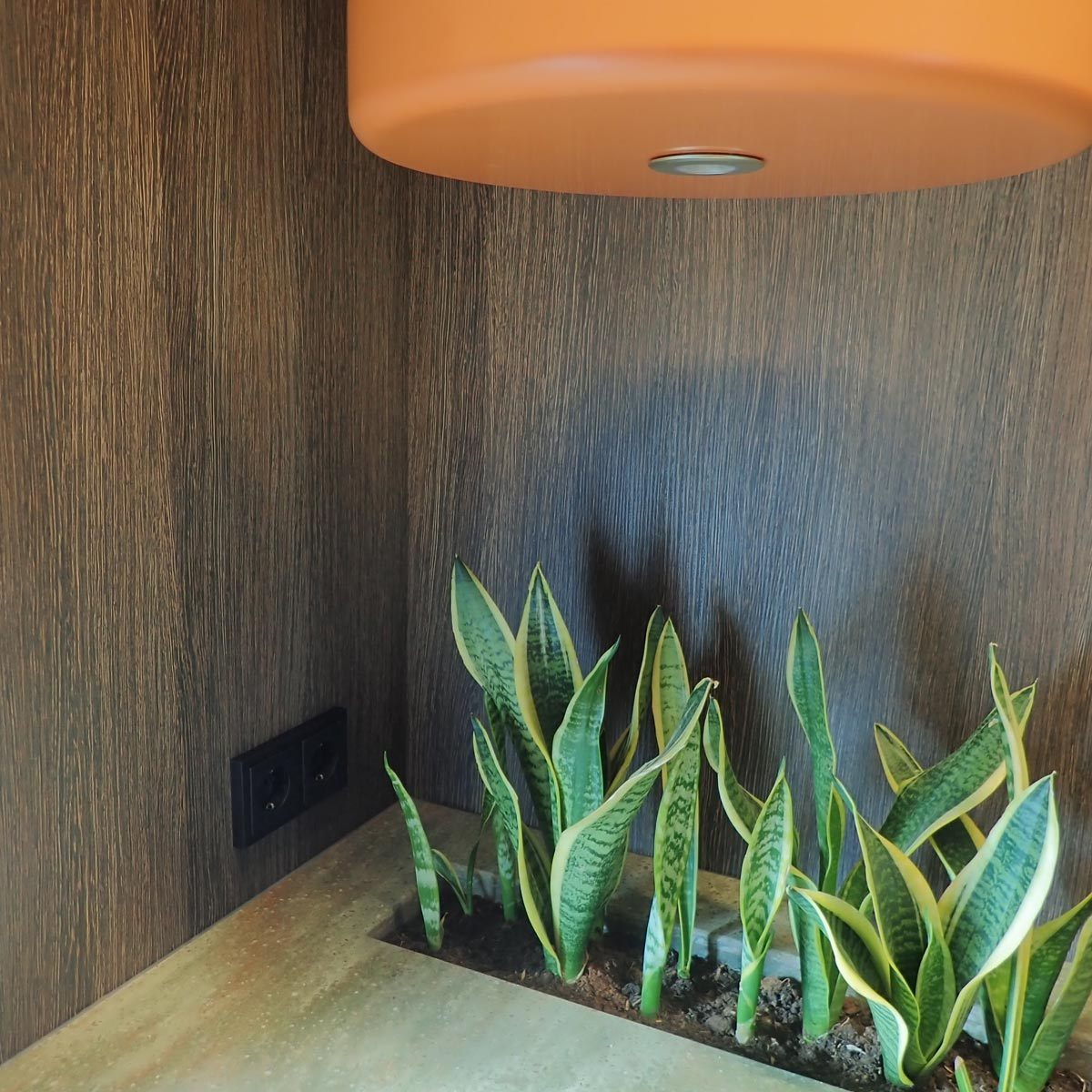 organische oranje corian design keuken, mid-century modern kitchen