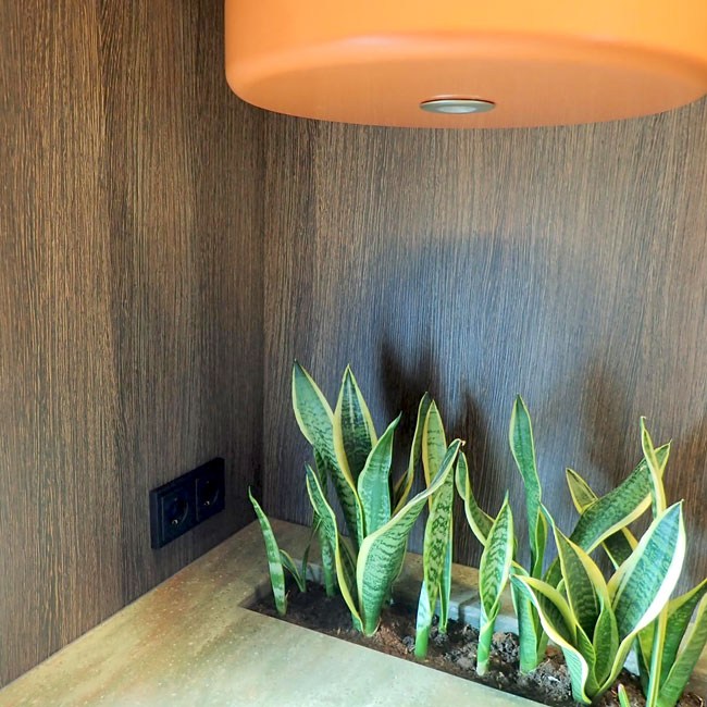 plantenbak geintegreerd in oranje corian keuken-typisch hout
